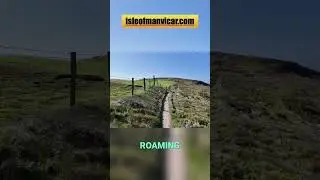 MASSIVE Phone Bill Shock! Data Roaming TRAPS To Avoid!