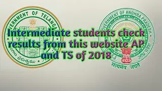 Intermediate results 2018