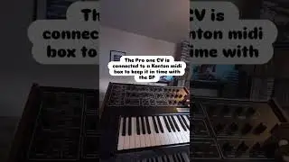 Making hardcore on the SP1200 with Pete Cannon