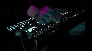 Kosinski Performing 
