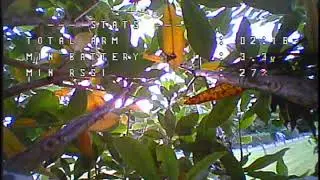 EMAX TINYHAWK RSSI AND VTX RANGE TEST
