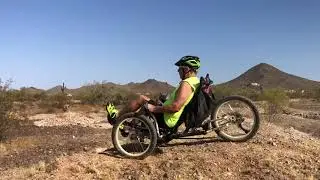 SteinTrikes Wild One