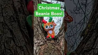 TinselToes the new reindeer Beanie Boo 🎄❤️ #christmas #ty #beanieboos