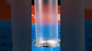 Macro Science Project 2