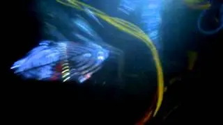 PC Gamer Con Radeon Hd 6550D