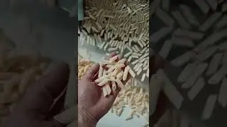 Fully Automatic Pasta Machine