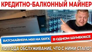 ДВА ВатсмайнерА М50 на 120тх В ОДНОМ шумбоксе полгода обслуживание - watsminer , что с ними #59
