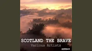 Old Taostie/ Lady Mackenzie of Fairburn/ The Strathspey King/ Gin I Were a Baron's Heir/...