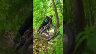 mtb photo compilation