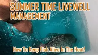 Keeping Crappie Alive In Your Boat During The Hot Summer, LIVEWELL MANAGEMENT, EP 4024