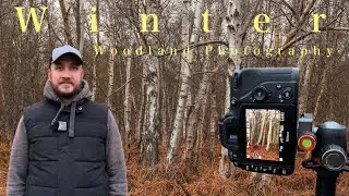 Winter Woodland Photography - Nikon D7500 + 2021 BEST IMAGE RECAP