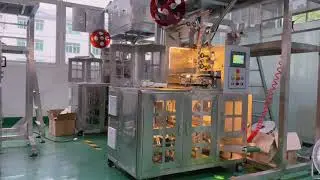 Biodegradable pyramid tea bag packaging machine, pre-made bag outer bag back seal #pyramidtea