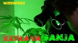 Windwings - Extravaganja