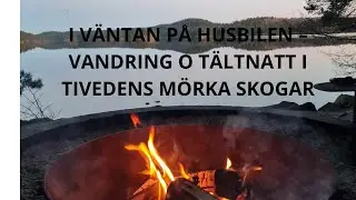 I V&Auml;NTAN P&Aring; HUSBILEN  - T&auml;ltnatt I Tivedens djupa skogar