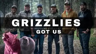 The Grizzlies Got Us!!!