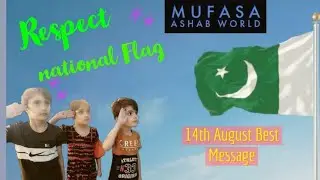 #independence #mufasa #pakistan #Respect #National #Flag #14th #14thaug