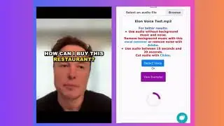 Elon Musk Voice Test With AI Voice Detector