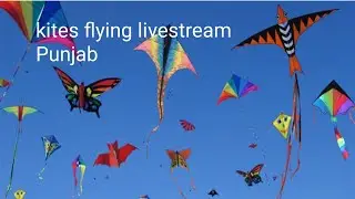 Ravi Aneja TV is live kite 🪁 flying randomly