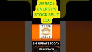 Websol Stock Split 1:10 🚀 6000% Return in 5 Years | अगला Multibagger?