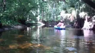 Mark O's 2013 visit to Hobe Sound FL