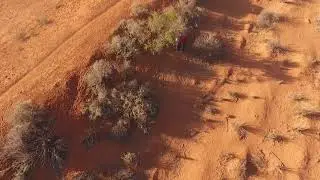 Field work in the arid zone