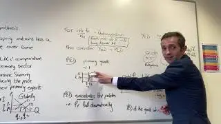 Prebisch-Singer