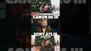 Canon R6 III vs Sony A7S III GYROFLOW
