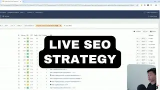 Live SEO Strategy for Business Website