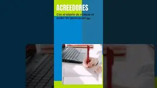 Usuarios de los Estados Financieros 