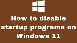 Windows 11 disable startup programs