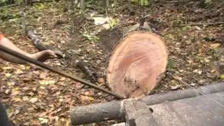 Loading a big red oak and Nick being phresh