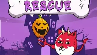 save the doge answer all level