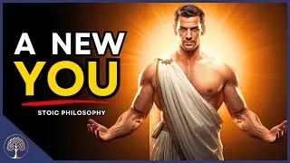 7 Stoic Principles For Immediate Life Transformation | Stoic Philosophy