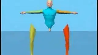 Why the body is like water