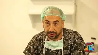 Köpeklerde pisipisi otu tedavisi- Empati Akademi Hayvan Hastanesi