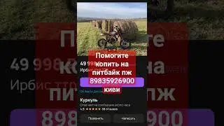 помогите пожалуйста 🥺#recommendations #питбайк #эндуро #ирбис #мотоцикл #скутер #альфа #помощь