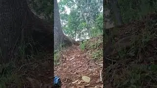 Extreme Hill Challenge | Will this Offroad RC make it through?