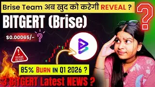 Bitgert (BRISE) Latest updates🚨!! Brise team reveal news ?? Bitgert brise news today || Crypto news