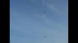 Soarist Cup 2010 - Flying Wings funfly