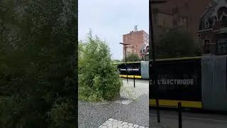 #belgium #travel #liege #viralvideo #trendingshorts #europeantravel