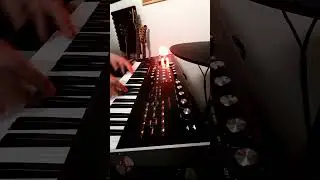 Kygo's unreleased track (short cover) #pianocover #hydrasynth #sythwave