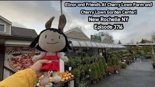 Elinor & Friends At Cherry Lawn Farm Market & Cherry Lawn Garden Center New Rochelle NY Episode 3716