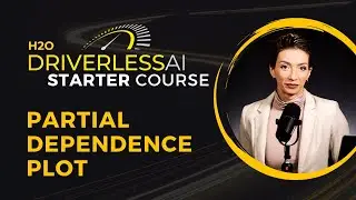 23. Partial Dependence Plot / DAI Starter Course