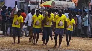 RK bulls Simha  court entry Velugonda 2025