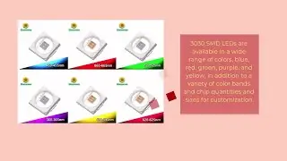 3030 SMD LED CHIP
