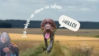 J&rsquo;AI ADOPT&Eacute; UN CHIEN &agrave; la SPA &hellip; et ce n&rsquo;&eacute;tait pas si simple !