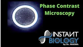 Phase Contrast Microscopy