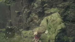 Dragon's Dogma 2 Token 135 north of volcanic island camp