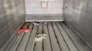 2011 TITAN 4 AXLE SELF STEER WALKING FLOOR For Sale