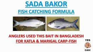 BANGLADESH FISH CATCHING BAIT FORMULA...